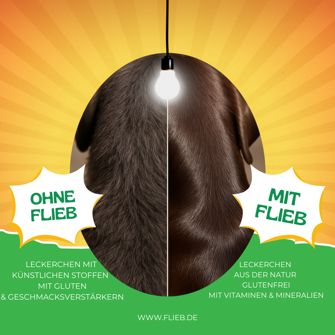 FLIEB Kokosia für Superhunde