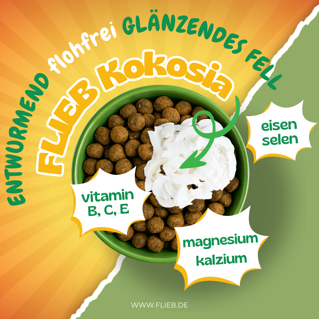 FLIEB Kokosia für Superhunde