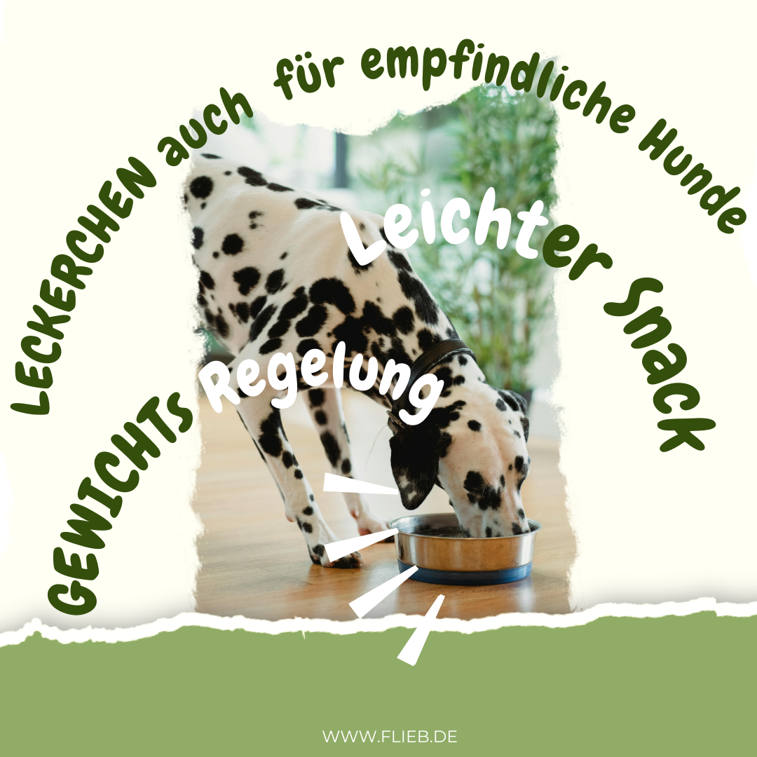 FLIEB Reisia für Superhunde