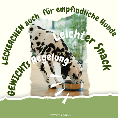 FLIEB Reisia für Superhunde