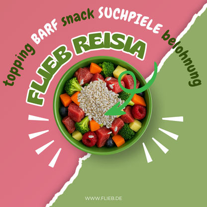 FLIEB Reisia für Superhunde