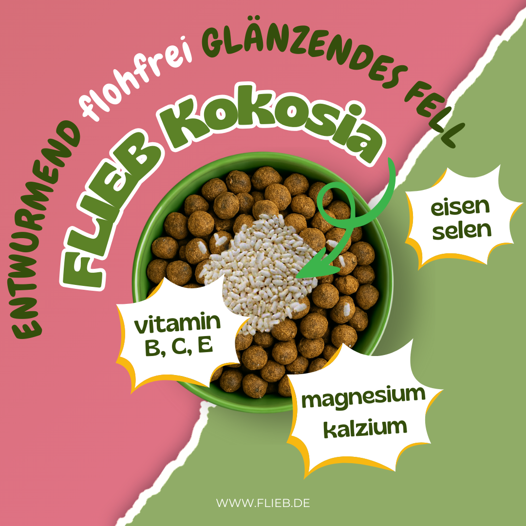 FLIEB Reisia für Superhunde