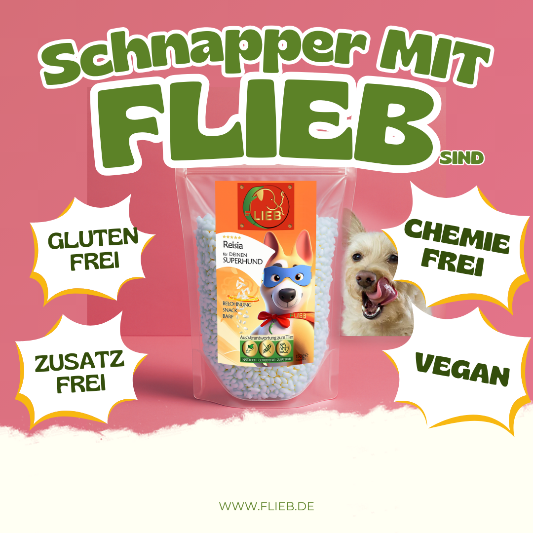 FLIEB Reisia für Superhunde