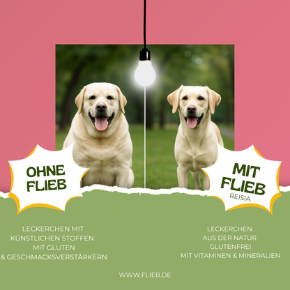 FLIEB Reisia für Superhunde