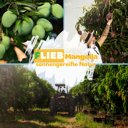 FLIEB Mango für Superheldinnen und Superhelden